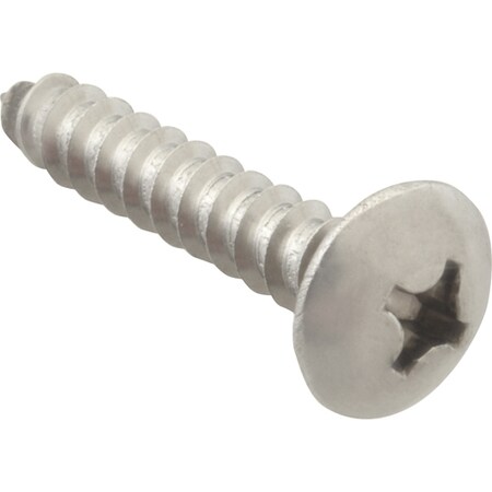 Allpoints Screw, Sm/Th/Ss (100) 6121220